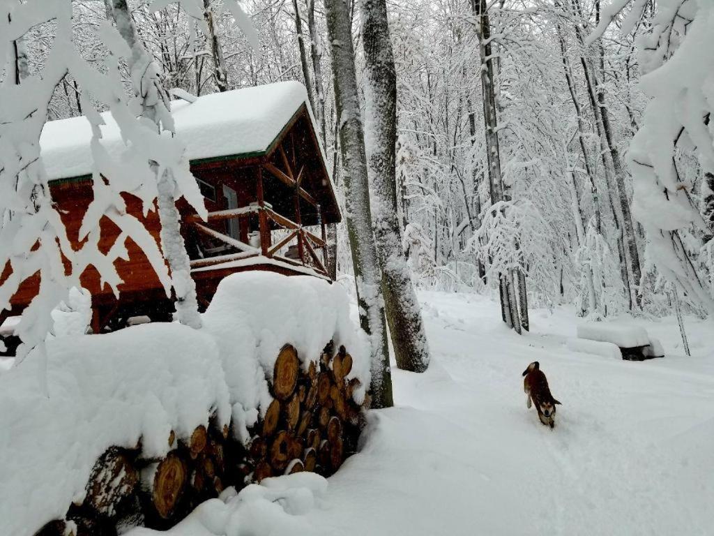 Les Cabines Nordik 2.0 Shawinigan Εξωτερικό φωτογραφία